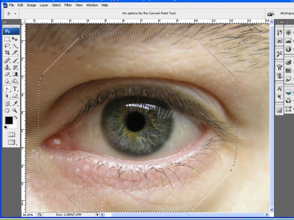 Creation of eye within eye: Step 1